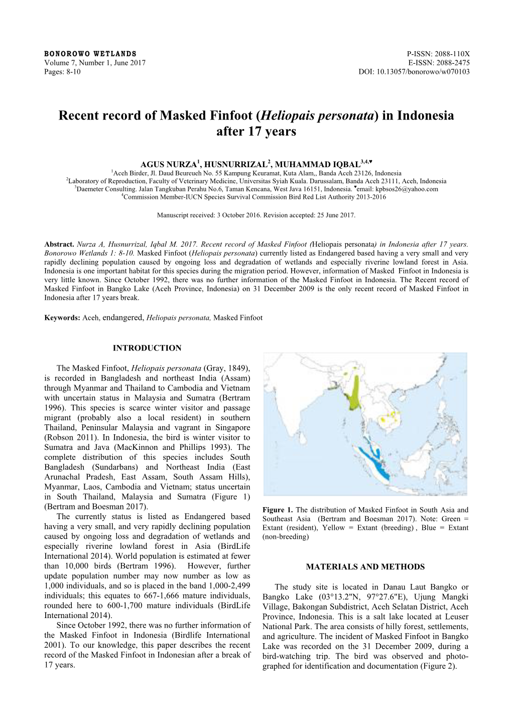 Recent Record of Masked Finfoot (Heliopais Personata) in Indonesia After 17 Years