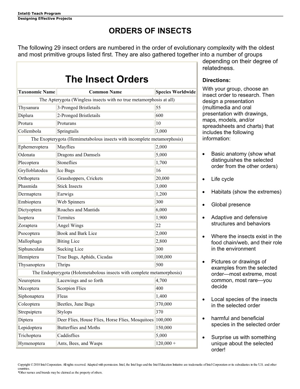 Orders of Insects