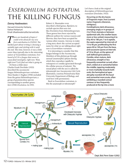 Exserohilum Rostratum, the Killing Fungus