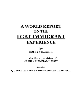 A World Report on the Lgbt Immigrant Experience