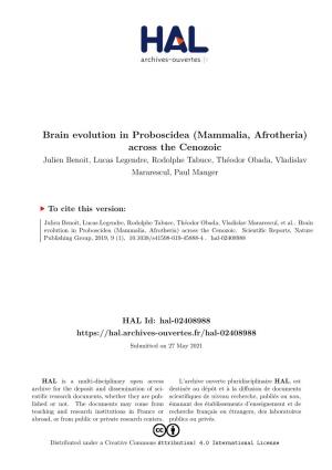Brain Evolution in Proboscidea (Mammalia, Afrotheria) Across The