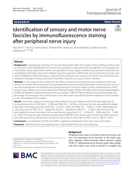 Identification of Sensory and Motor Nerve Fascicles By