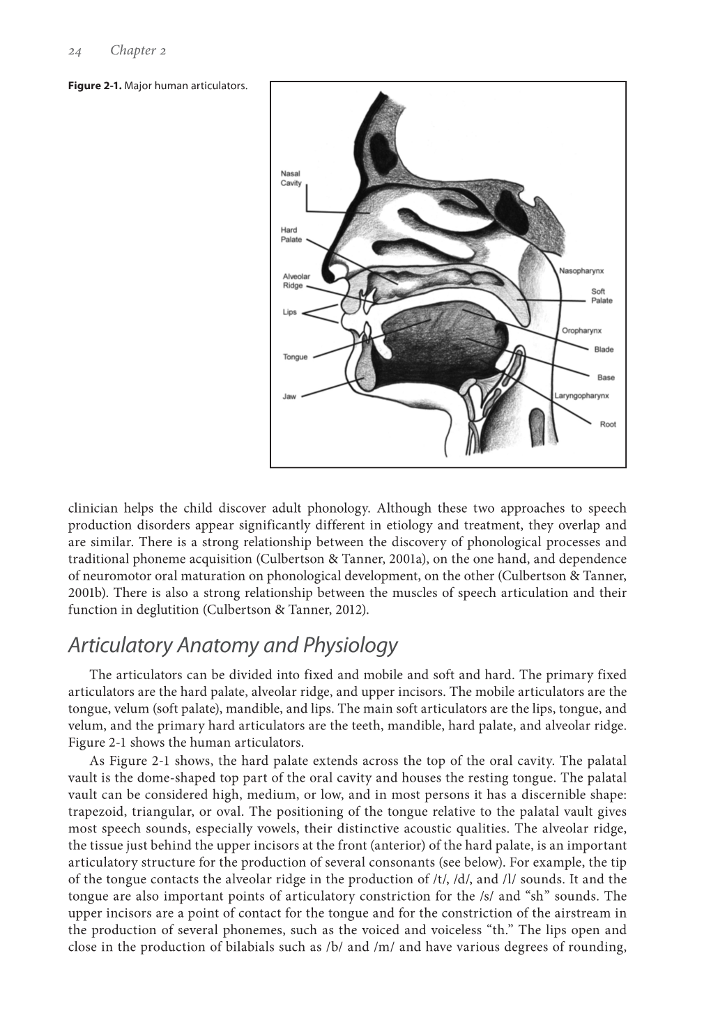 Articulatory Anatomy and Physiology the Articulators Can Be Divided Into Fixed and Mobile and Soft and Hard