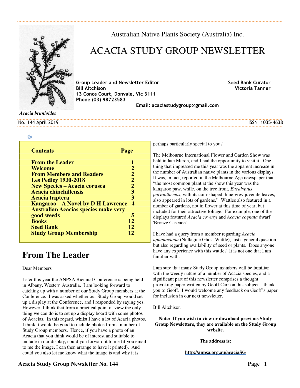Acacia Corusca