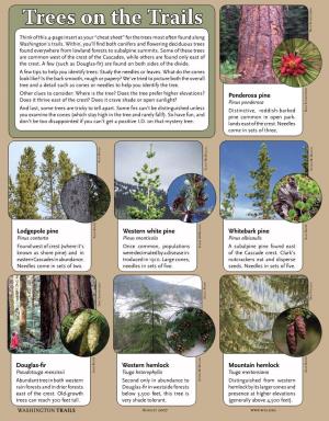 Trees on the Trails D Think of This 4-Page Insert As Your “Cheat Sheet” for the Trees Most Often Found Along Washington’S Trails