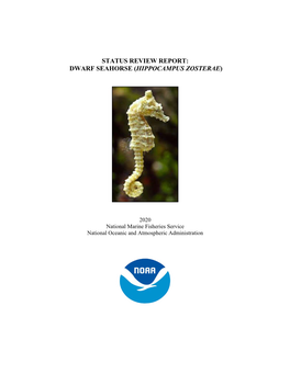 Status Review Report: Dwarf Seahorse (Hippocampus Zosterae)