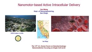 Nanomotor-Based Active Intracellular Delivery