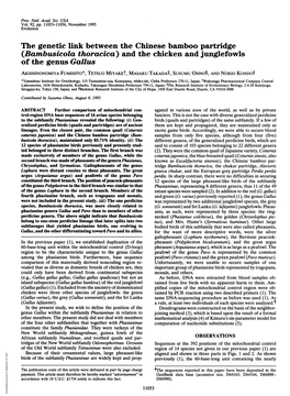 The Genetic Link Between the Chinese Bamboo Partridge (Bambusicola Thoracica) and the Chicken and Junglefowls of the Genus Gallu