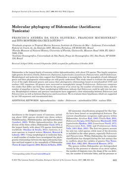 Molecular Phylogeny of Didemnidae (Ascidiacea: Tunicata)