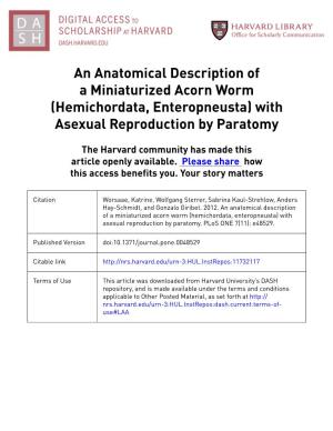 An Anatomical Description of a Miniaturized Acorn Worm (Hemichordata, Enteropneusta) with Asexual Reproduction by Paratomy