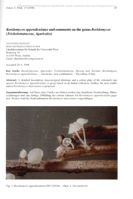 Roridomyces Appendiculatus and Comments on the Genus Roridomyces (Tricholomataceae, Agaricales)