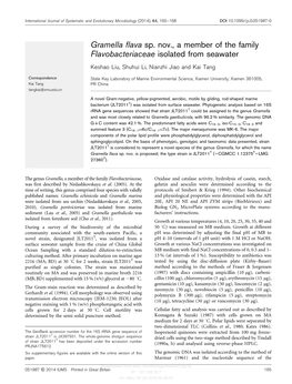 Gramella Flava Sp. Nov., a Member of the Family Flavobacteriaceae Isolated from Seawater