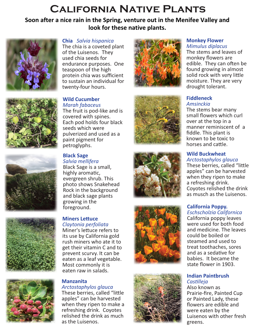 California Native Plants