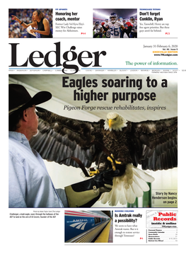 Eagles Soaring to a Higher Purpose Pigeon Forge Rescue Rehabilitates, Inspires