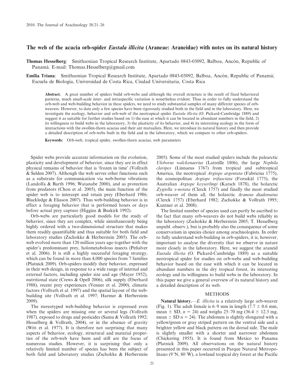 The Web of the Acacia Orb-Spider Eustala Illicita (Araneae: Araneidae) with Notes on Its Natural History