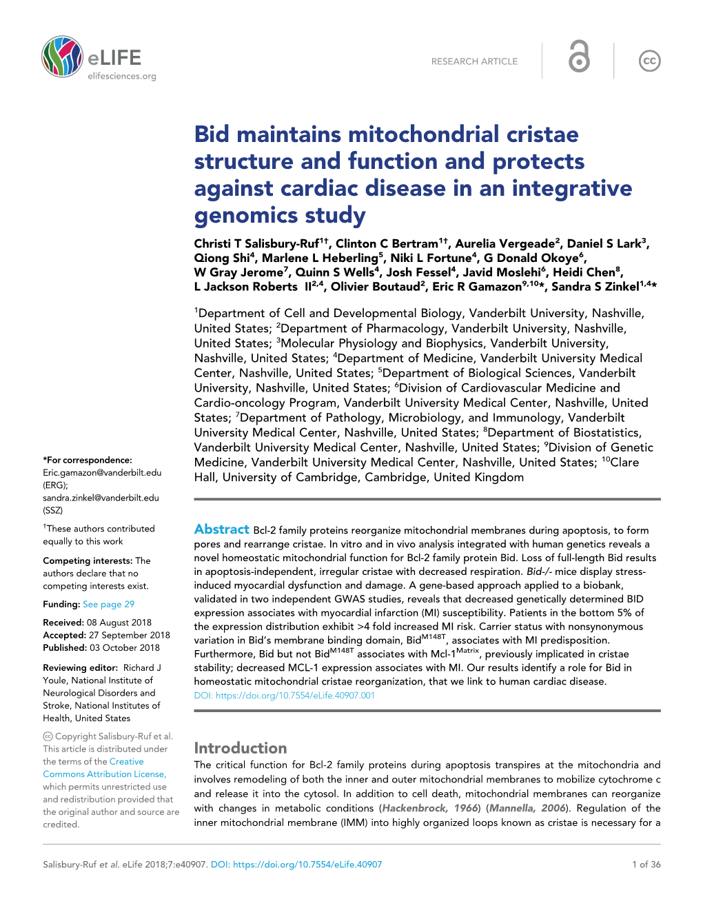 Bid Maintains Mitochondrial Cristae Structure and Function and Protects