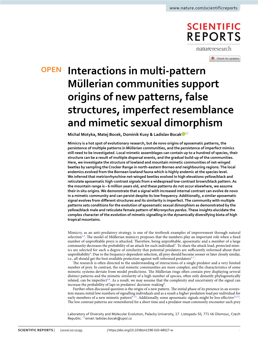 Interactions in Multi-Pattern Müllerian Communities Support Origins of New