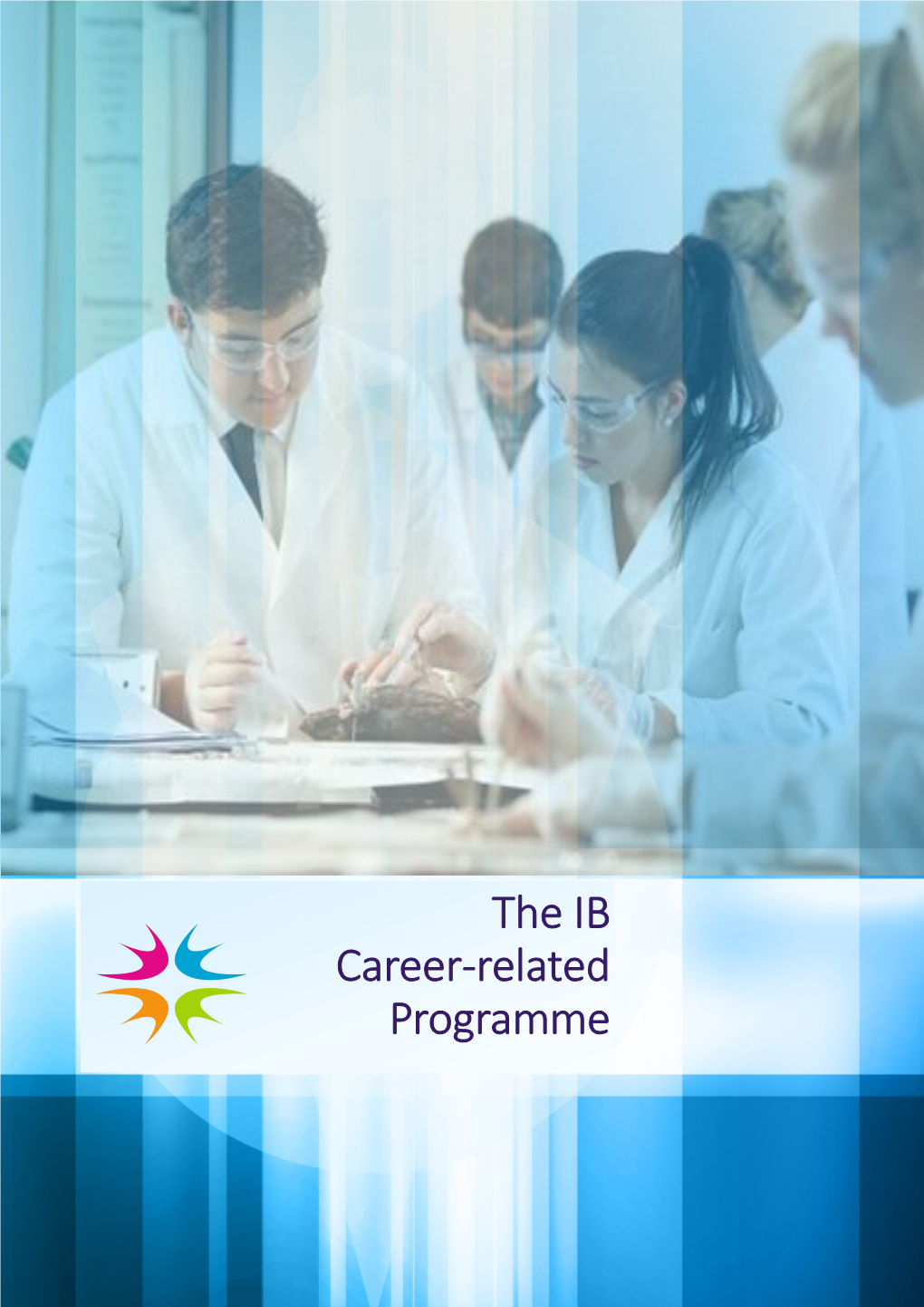 The IB Career-Related Programme
