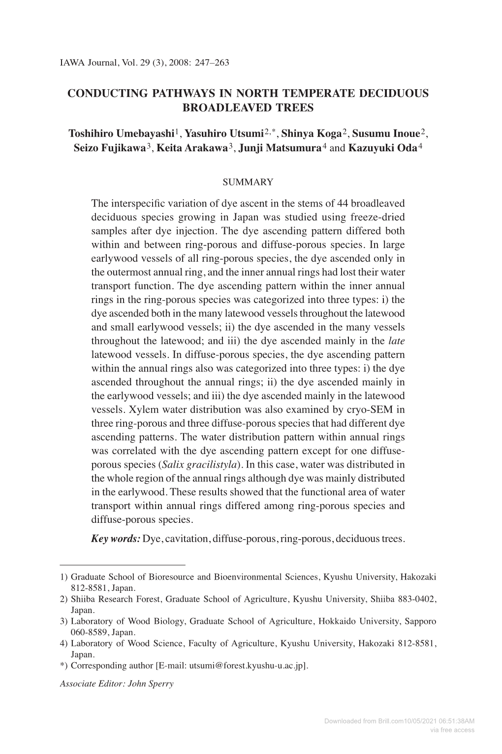 Conducting Pathways in North Temperate Deciduous Broadleaved Trees