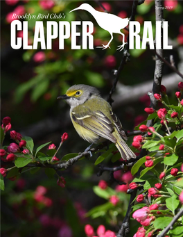Spring 2019 Brooklyn Bird Club’S the Clapper Rail Spring 2019 Inside This Issue