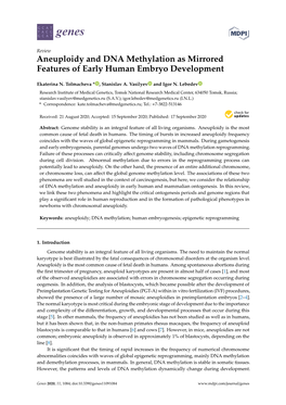 Aneuploidy and DNA Methylation As Mirrored Features of Early Human Embryo Development