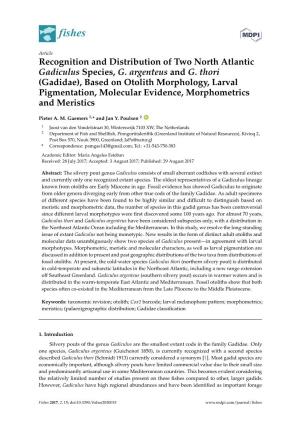Recognition and Distribution of Two North Atlantic Gadiculus Species, G