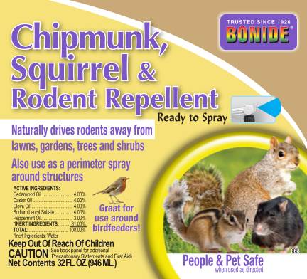 Chipmunk, Squirrel & Chipmunk, Squirrel &