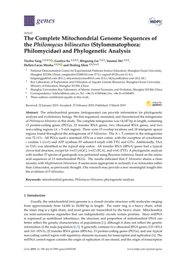 The Complete Mitochondrial Genome Sequences of the Philomycus Bilineatus (Stylommatophora: Philomycidae) and Phylogenetic Analysis