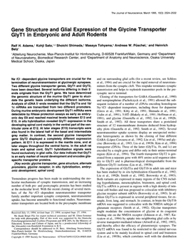 Gene Structure and Glial Expression of the Glycine Transporter Glytl in Embryonic and Adult Rodents