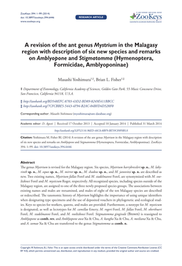 A Revision of the Ant Genus Mystrium in the Malagasy Region With