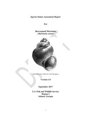 Species Status Assessment Report for Beaverpond Marstonia