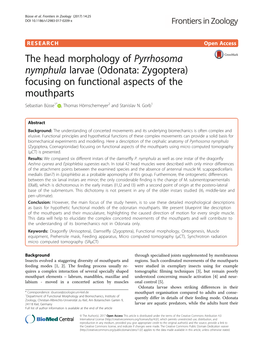 Odonata: Zygoptera) Focusing on Functional Aspects of the Mouthparts Sebastian Büsse1* , Thomas Hörnschemeyer2 and Stanislav N