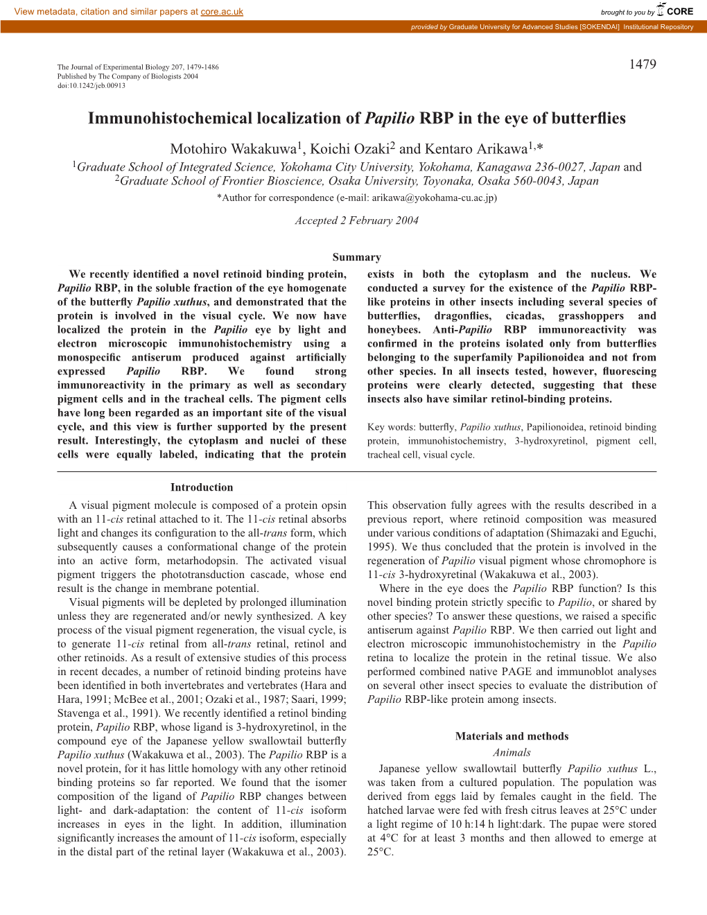 Immunohistochemical Localization of Papilio RBP in the Eye of Butterflies