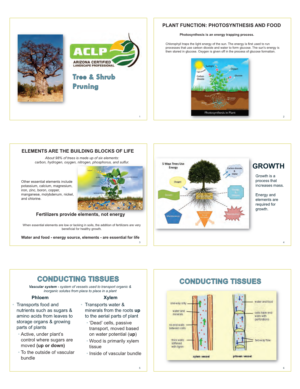 ACLP Tree & Shrub Pruning