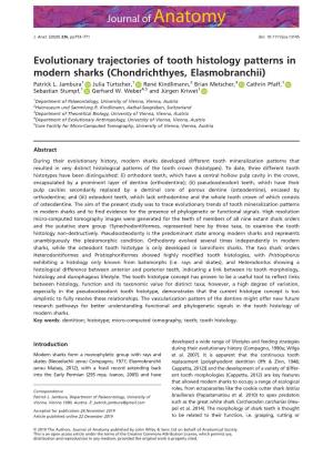 Evolutionary Trajectories of Tooth Histology Patterns in Modern Sharks (Chondrichthyes, Elasmobranchii) Patrick L