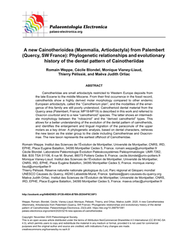 Phylogenetic Relationships and Evolutionary History of the Dental Pattern of Cainotheriidae
