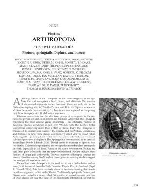 ARTHROPODA Subphylum Hexapoda Protura, Springtails, Diplura, and Insects