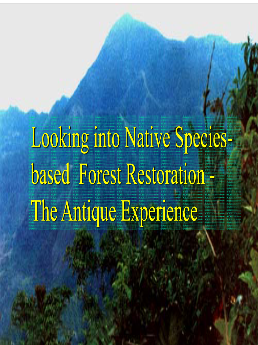 Looking Into Native Species- Based Forest Restoration - the Antique Experience LOCATION MAP N