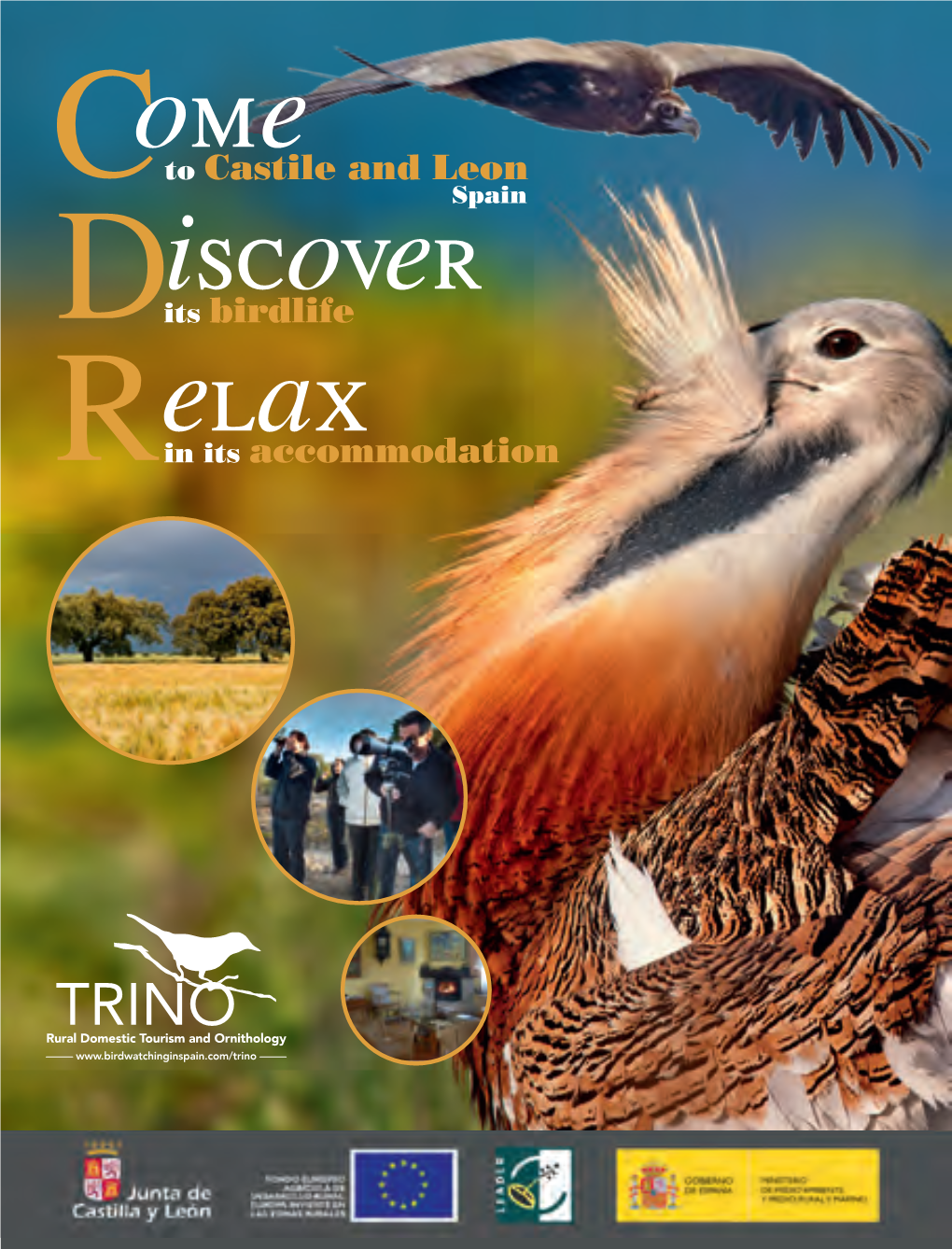 Come Discover Relax