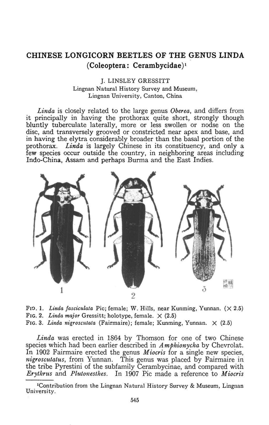 CHINESE LONGICORN BEETLES of the GENUS LINDA (Coleoptera: Cerambycidae)L
