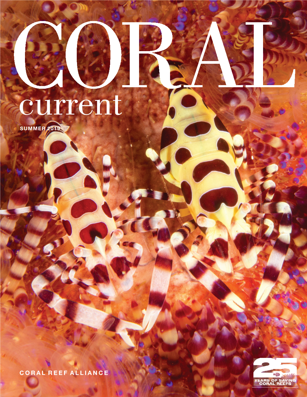 Coral Current Magazine