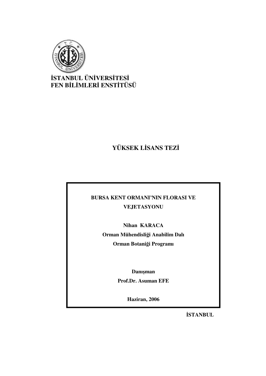 Istanbul Üniversitesi Fen Bilimleri Enstitüsü Yüksek Lisans Tezi