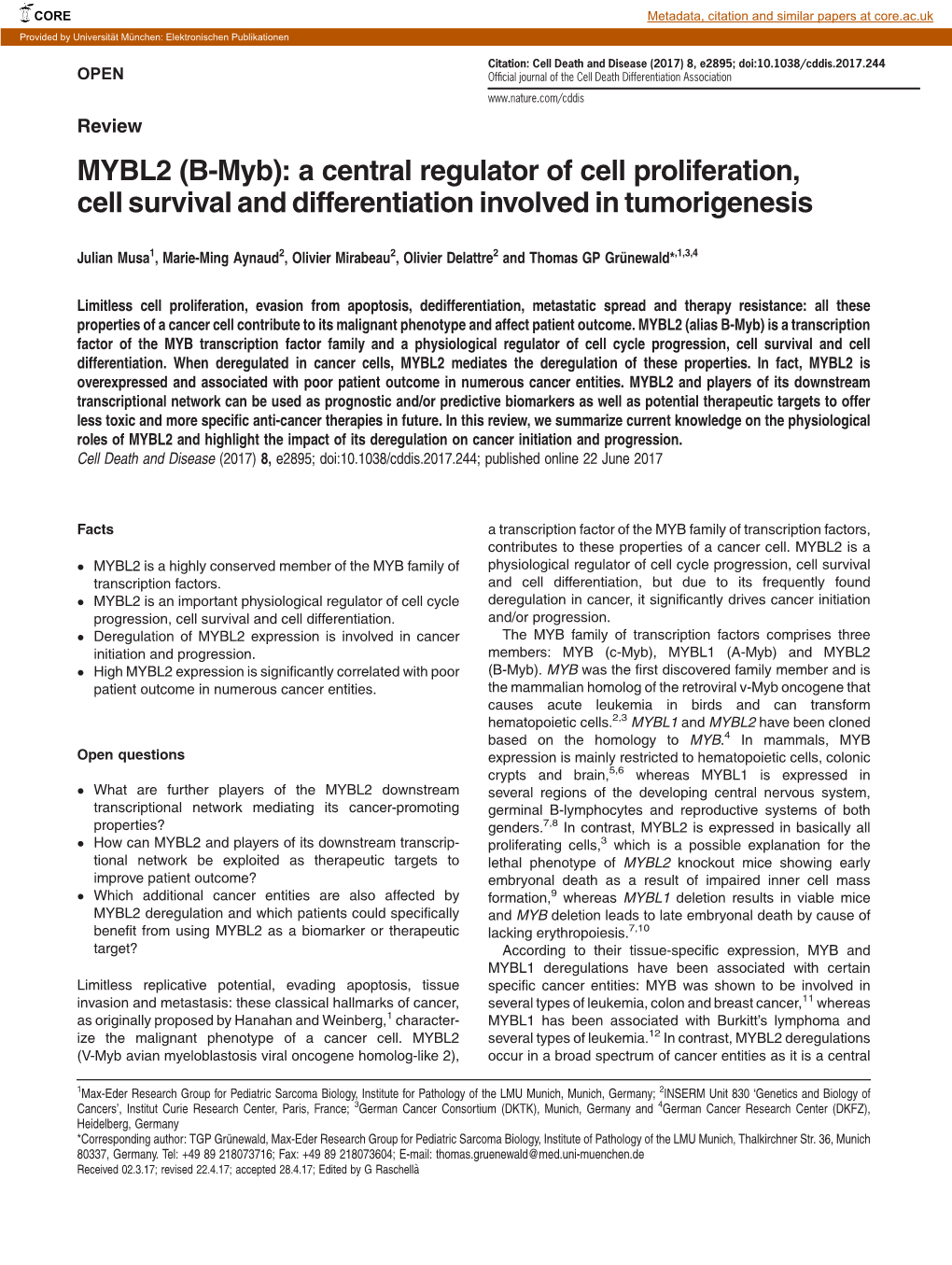 MYBL2 (B-Myb): a Central Regulator of Cell Proliferation, Cell Survival and Differentiation Involved in Tumorigenesis