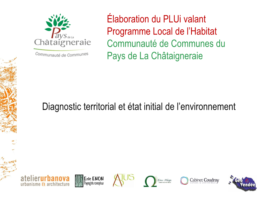 Synthèse Diagnostic Plui Pays De La Châtaigneraie