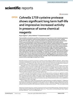 Cohnella 1759 Cysteine Protease Shows Significant Long Term Half-Life