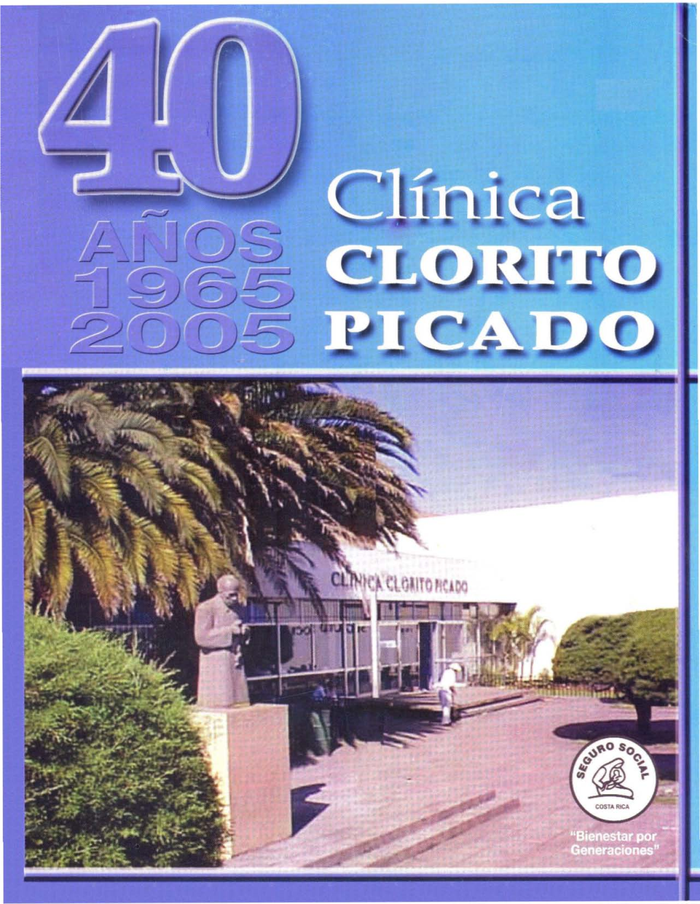 Picado1965-2005.Pdf