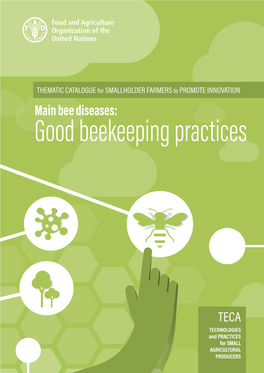 Bee Diseases: Good Beekeeping Practices