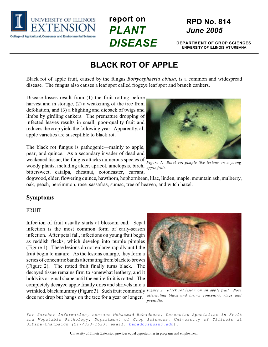 Black Rot of Apple