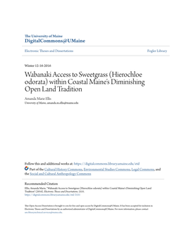 Wabanaki Access to Sweetgrass (Hierochloe Odorata)
