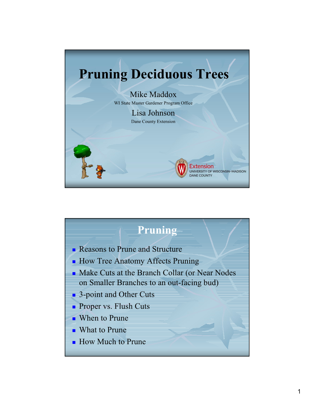 Pruning Deciduous Trees